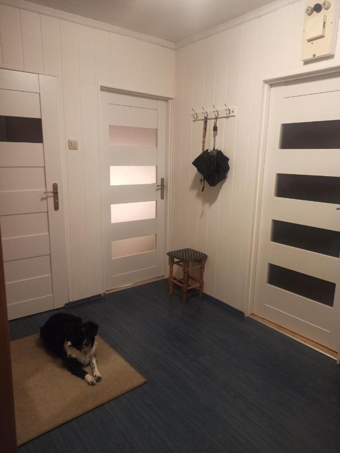 Apartament Za Rogiem Papierni Duszniki Zdrój Eksteriør bilde
